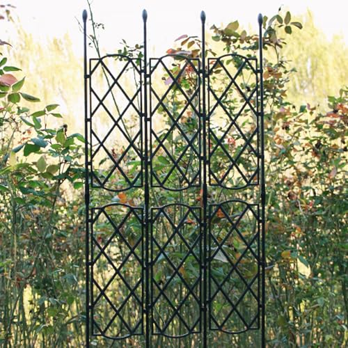 Support robuste pour vignes et architecture de jardin haut de gamme - 7