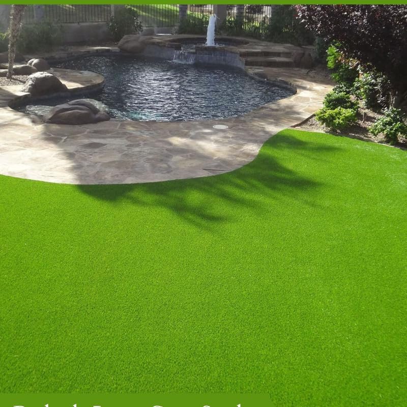 RADHA KRISHNA AGRICULTURE Imported Bermuda Lawn Grass Seeds Fast