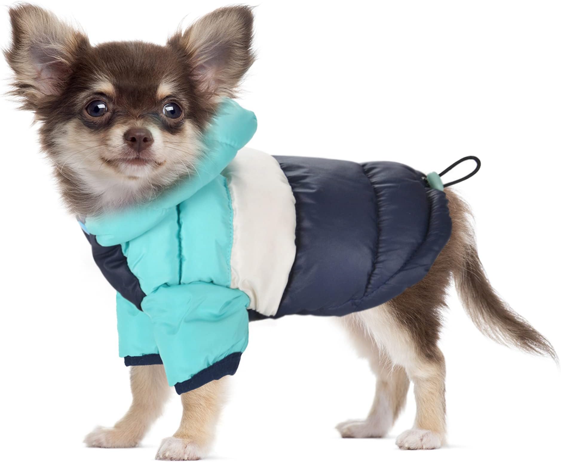 CMREAEC Dog Vest Winter Coat for Small Dogs Boy Girls, Dog Down Jackets Puppy Hoodie Sweatshirt Doggie Hoodie Coat Winter Clothes Pet Hooded Coat Apparel for Chihuahua in Cold Weather, XL