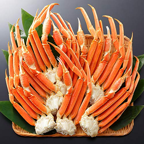 I {C  Jj 킢I  2kgO 4-6lO nT~t k̑蕨