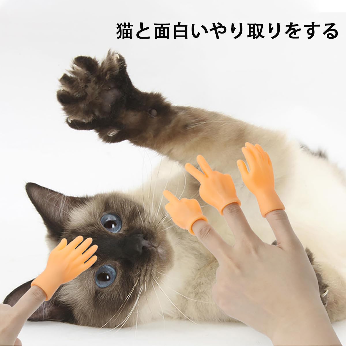 Amazon.co.jp: 面白い手 6個セット 小さな手 指人形 ハンドモデル