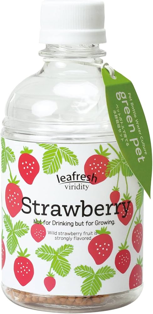 Amazon.co.jp: 聖新陶芸 家庭菜園 簡単 栽培キット ワイルド