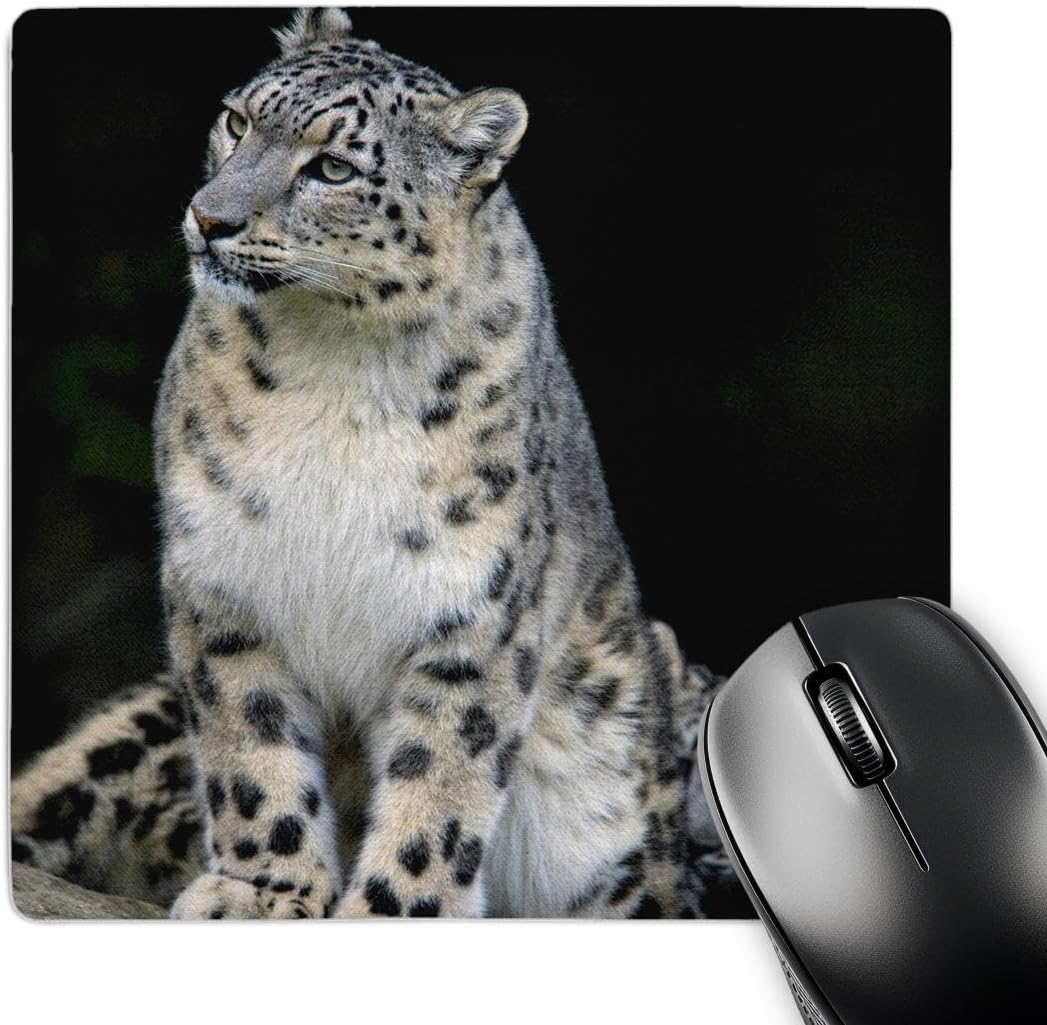 3dRose LLC 8 x 8 x 0.25 Inches Snow Leopard, Panthera Uncia, Asia Andres Morya Hinojosa Mouse Pad (mp_132849_1)