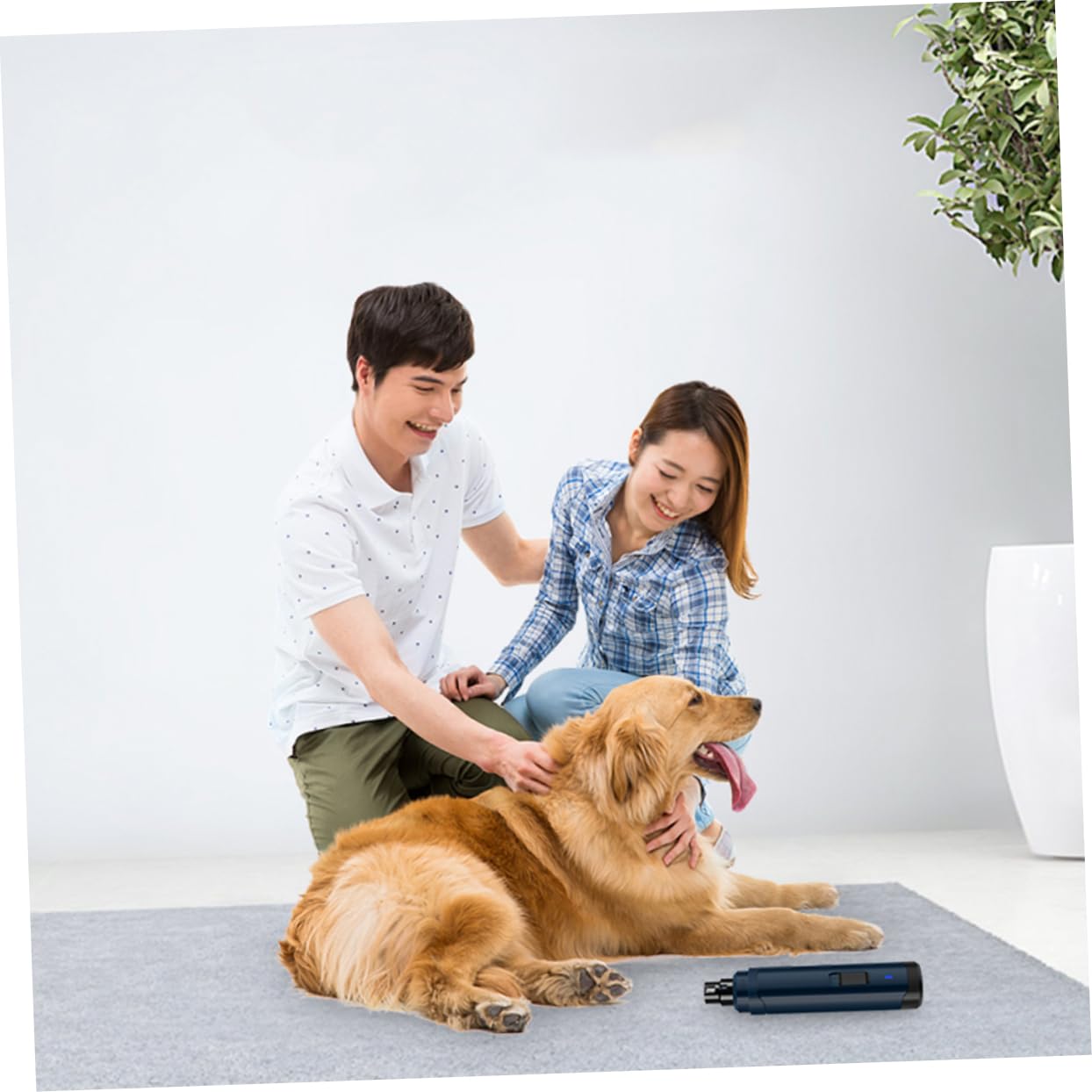 Coupe-ongles Électrique pour Animaux Usb, Rotation Rapide, Silencieux