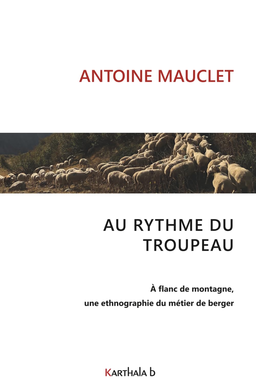 Au rythme du troupeau: À flanc de montagne, une ethnographie du métier de berger
