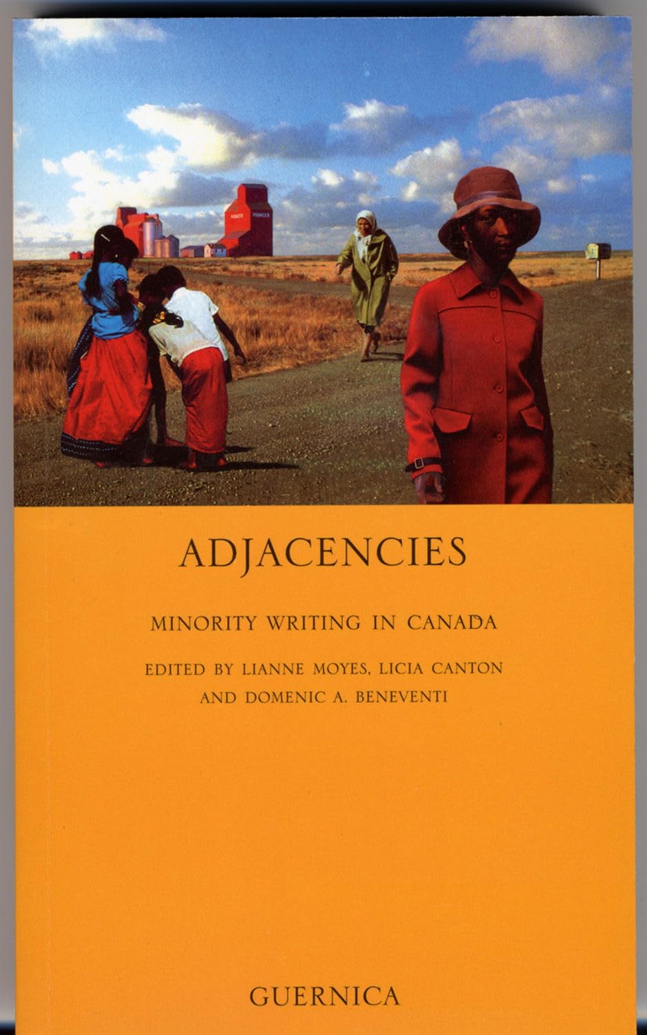 Adjacencies: Minority Writings in Canada: 49 (Essential Essays Series)