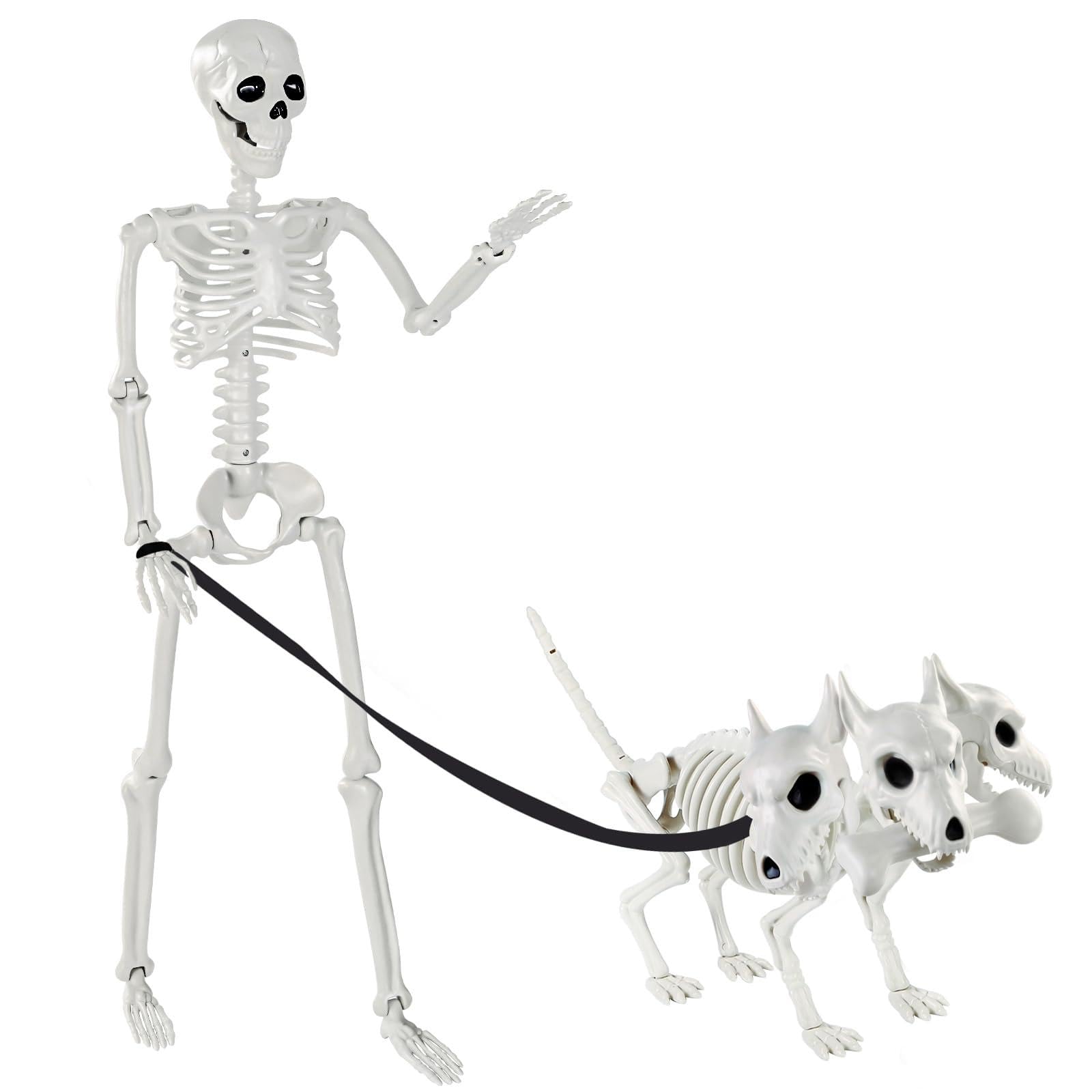JOLCEEY 1 scheletro mobile per Halloween, 90 cm, realistico, ossa di scheletro umano, articolazioni mobili per tutto il corpo, con scheletro di cane a 3 teste, per oggetti di scena di Halloween