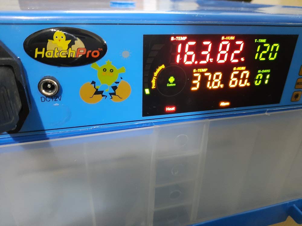 HatchPro Rolling Type Automatic Egg Incubator ; Capacity of 210 Quail Eggs ; Small (Blue)