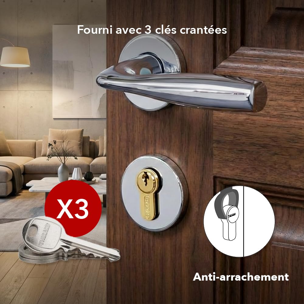 THIRARD Cylindre de serrure double entrée, 30 x 80 mm, nickel, 3 clés | Double entrée, finition nickelée, sécurité renforcée, dimensions 30 x 80 mm, compatible portes standard, 3 clés incluses