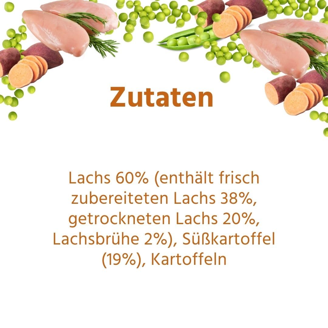 Wildfang® Trockenfutter für Hunde 6kg – Premium Hundetrockenfutter mit Lachs, Getreidefrei & glutenfrei, mit natürlichen Zutaten, ohne Zuckerzusatz, Welpenfutter trocken für Hunde – 1er Pack