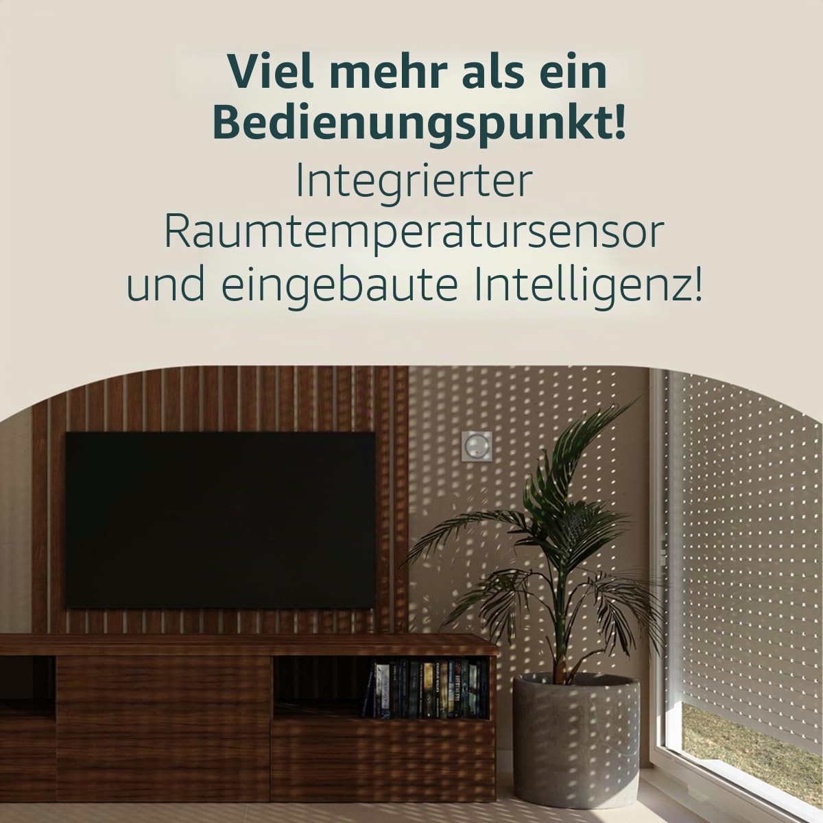 Somfy 1871600 - Amy 1 Sun Protect Mode io, Steuerung für Rollläden