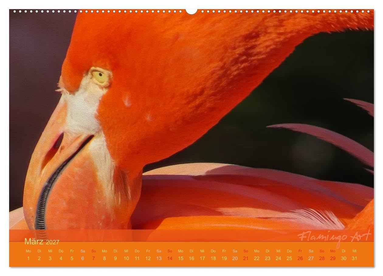 CALVENDO - Flamingo Art 2027 (Wandkalender 2027 DIN A2 quer), Monatskalender: Flamingo Art - Ein absoluter Blickfang im Büro und zu Hause