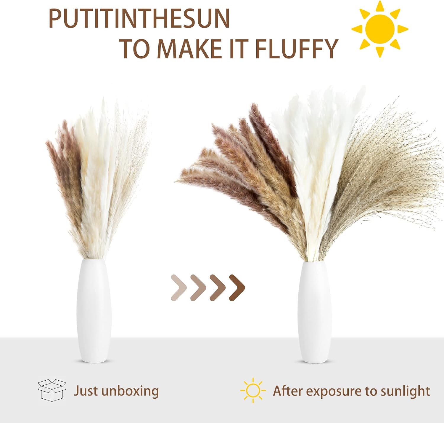Dried Pampas Grass, 60 Pcs Natural Pampas Grass with 20 Pcs White Pampas & 20 Pcs Brown Pampas & 20 Pcs Reed Grass for Flower Arrangements Home Decor