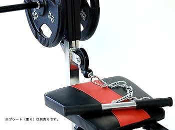 Amazon | IROTEC（アイロテック）マルチポジションベンチ専用ラット