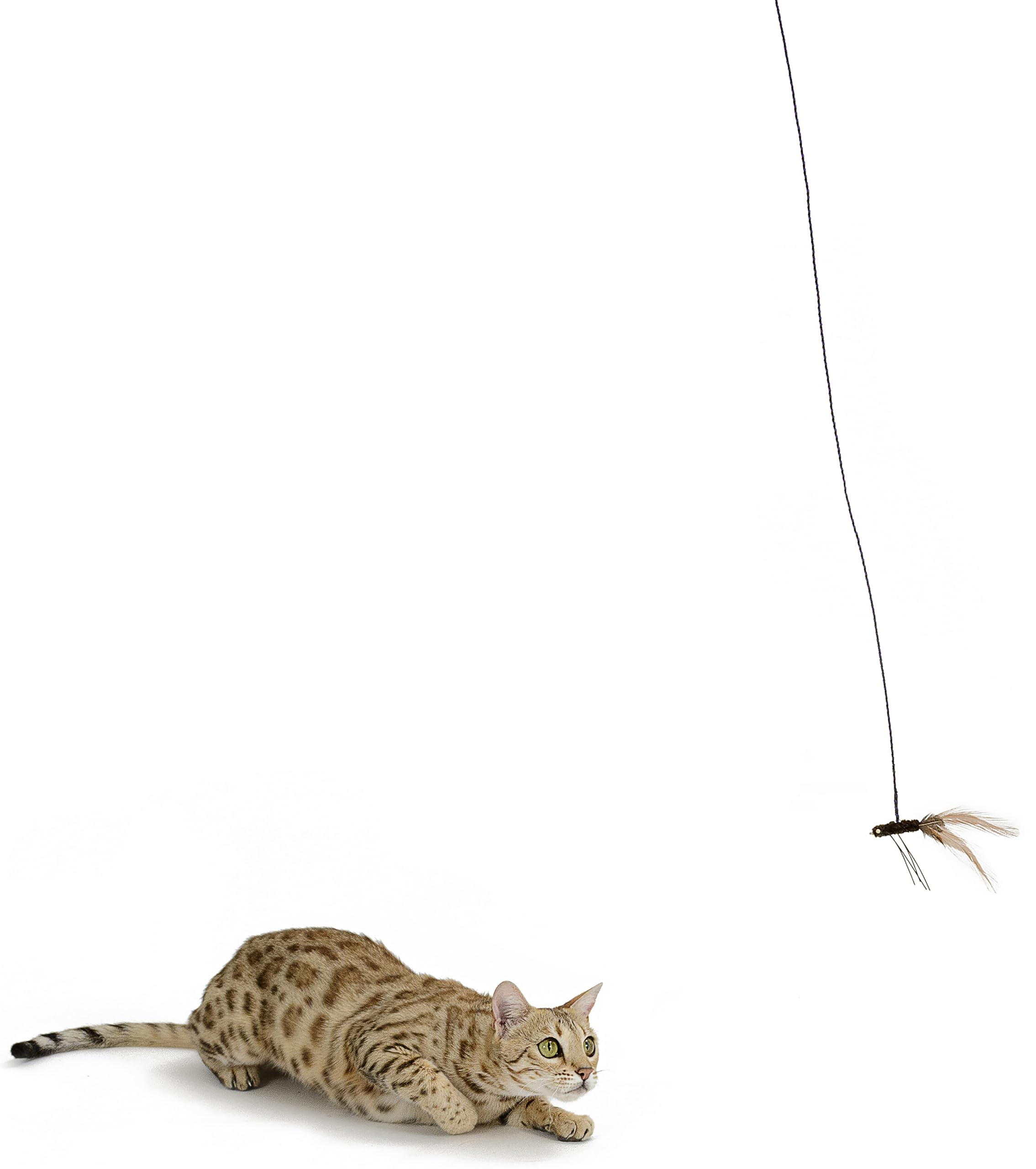 RompiCatz Critter Collector Series Teaser Wand and String