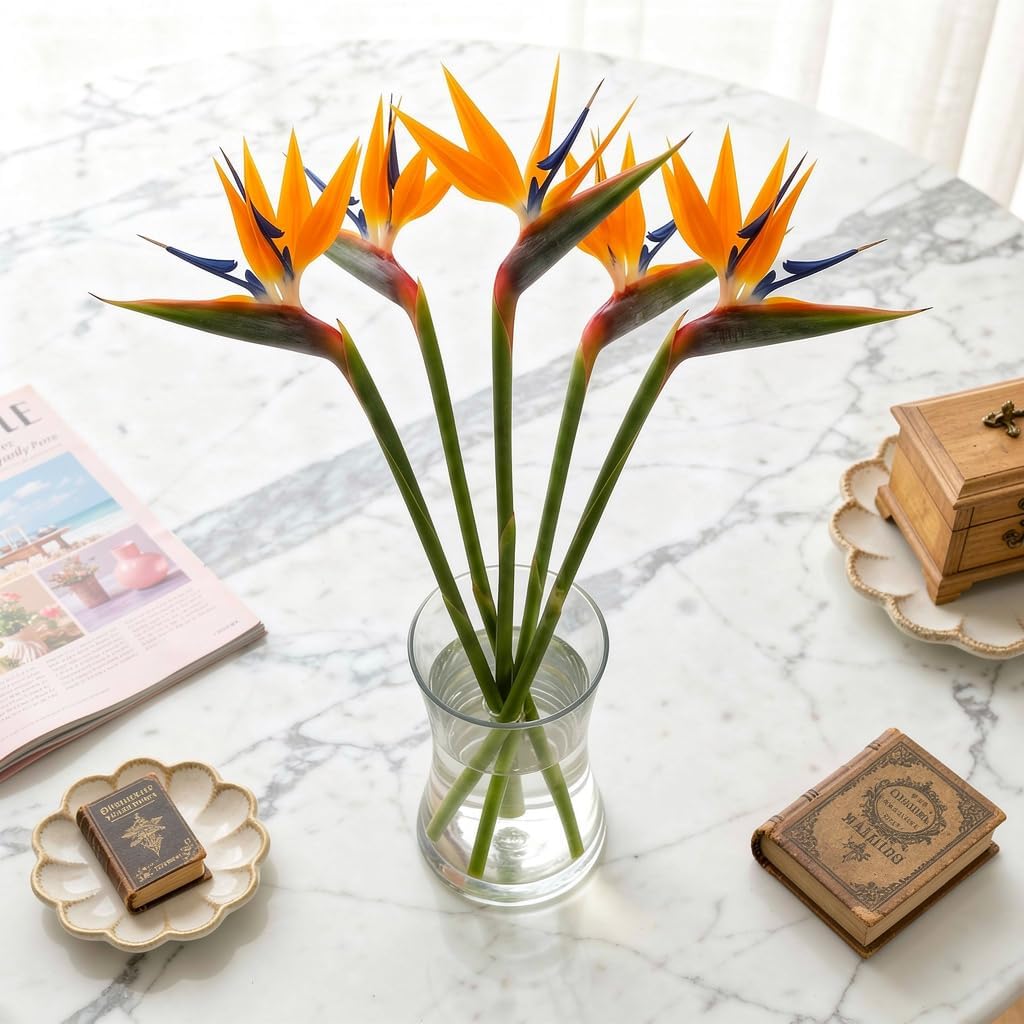 American Florals 5 Tropical Birds of Paradise - Fresh Cut Flowers with USA Wrapped - Floral Gifts for Birthday, Thank You, Mother's Day & Home Garden, Wedding Party Decoration & DIY (Orange and Blue)