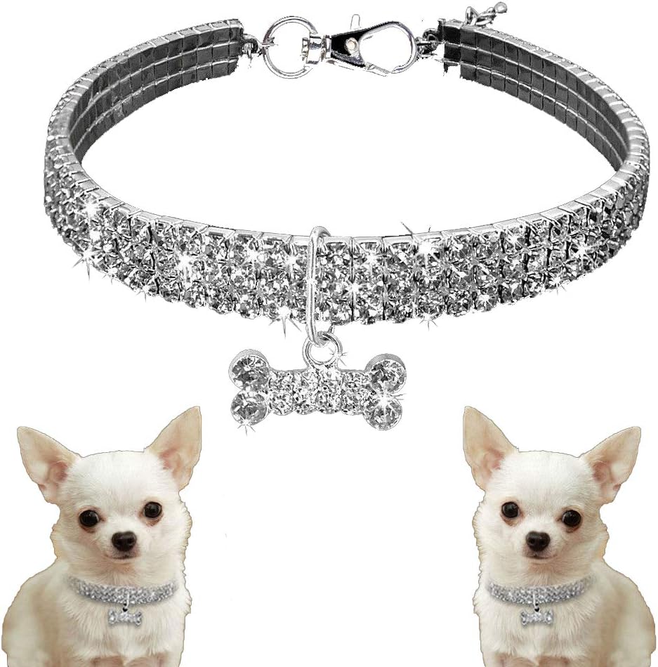 rhinestone dog