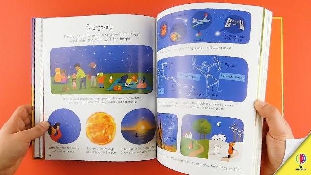 My First Encyclopedia: A Charming Introduction About Animals