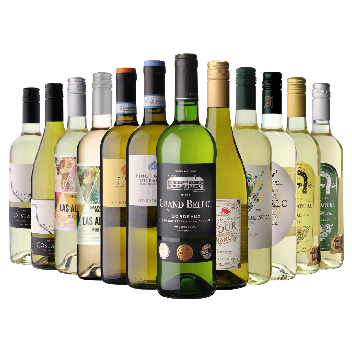 早い者勝ち バックビンテージ 著名自然派ワイン12本セット 早い者勝ち バックビンテージ 著名自然派ワイン12本セット 早い者勝ち