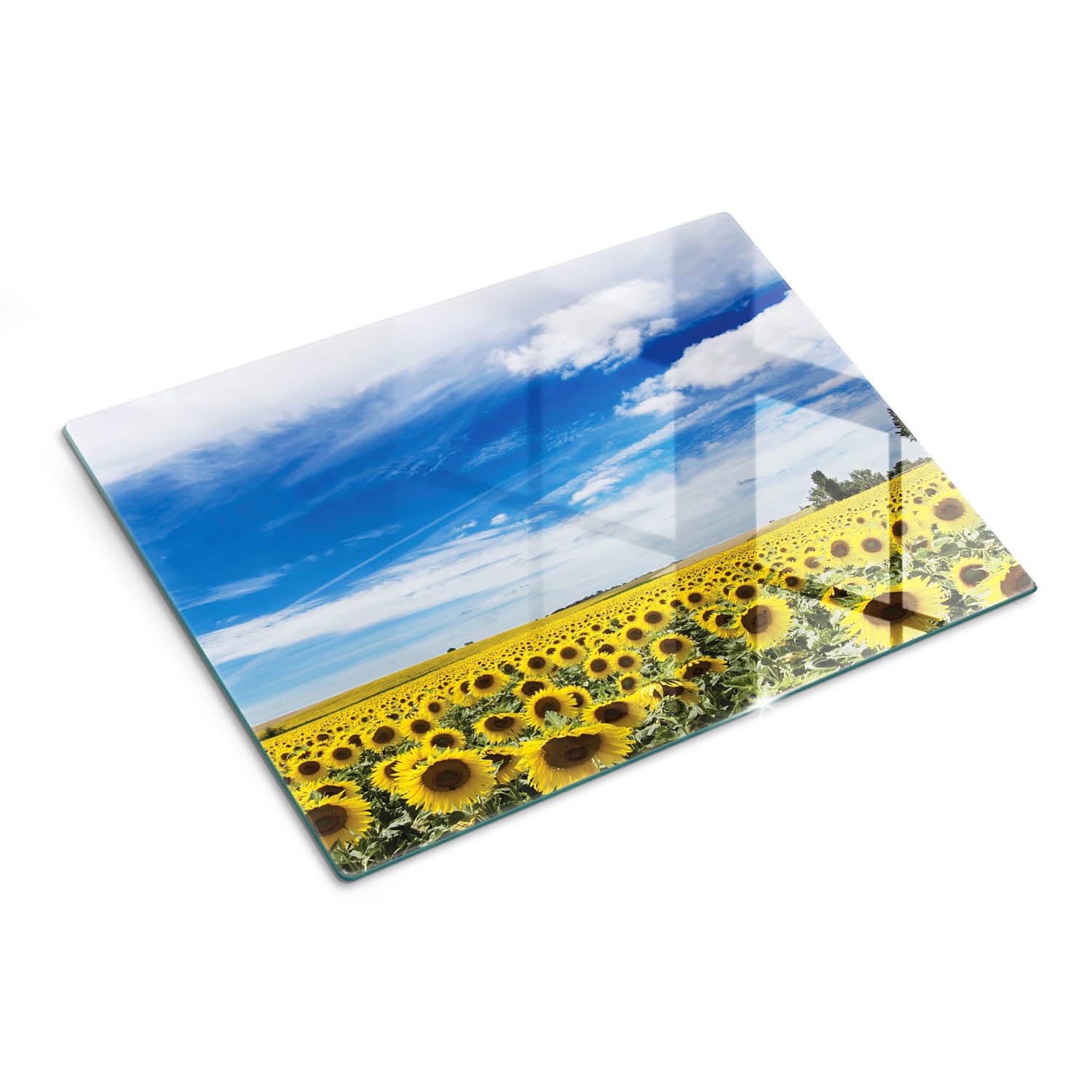 Tabla de cortar y placa de protección de vidrio 40x30 cm Campo de girasoles