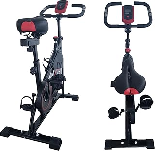 Bicicleta Ergométrica Lorben Spinning Bike Indoor Magnética com Display Digital GT6179-R