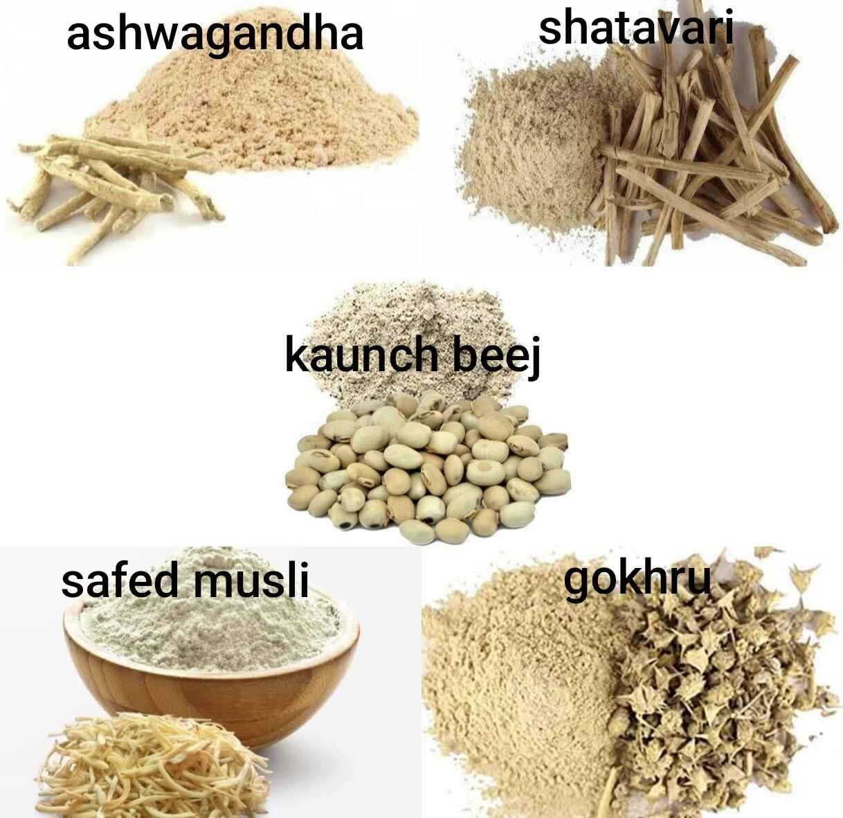 Ayurvedic Zone Ashwagnadha, Shatavari, Safed Musli, Kaunch Beej, Gokhru Powder Combo 250 gm(50 gm each) JadiBooti Powder — Amazon image 2