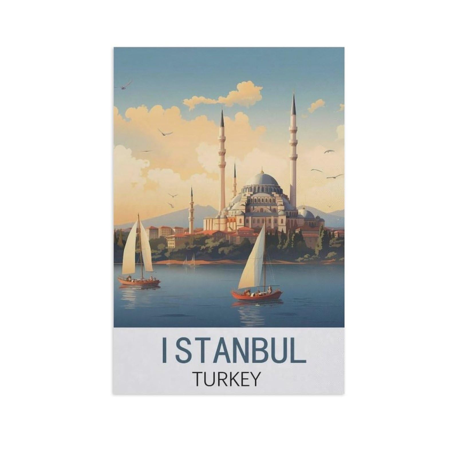 Jigsaw Puzzle 1000 Pieces for Adults，Istanbul Turkey，Unique Suitable for Teenagers and Adults, Home Decoration（50x70cm）-AM87