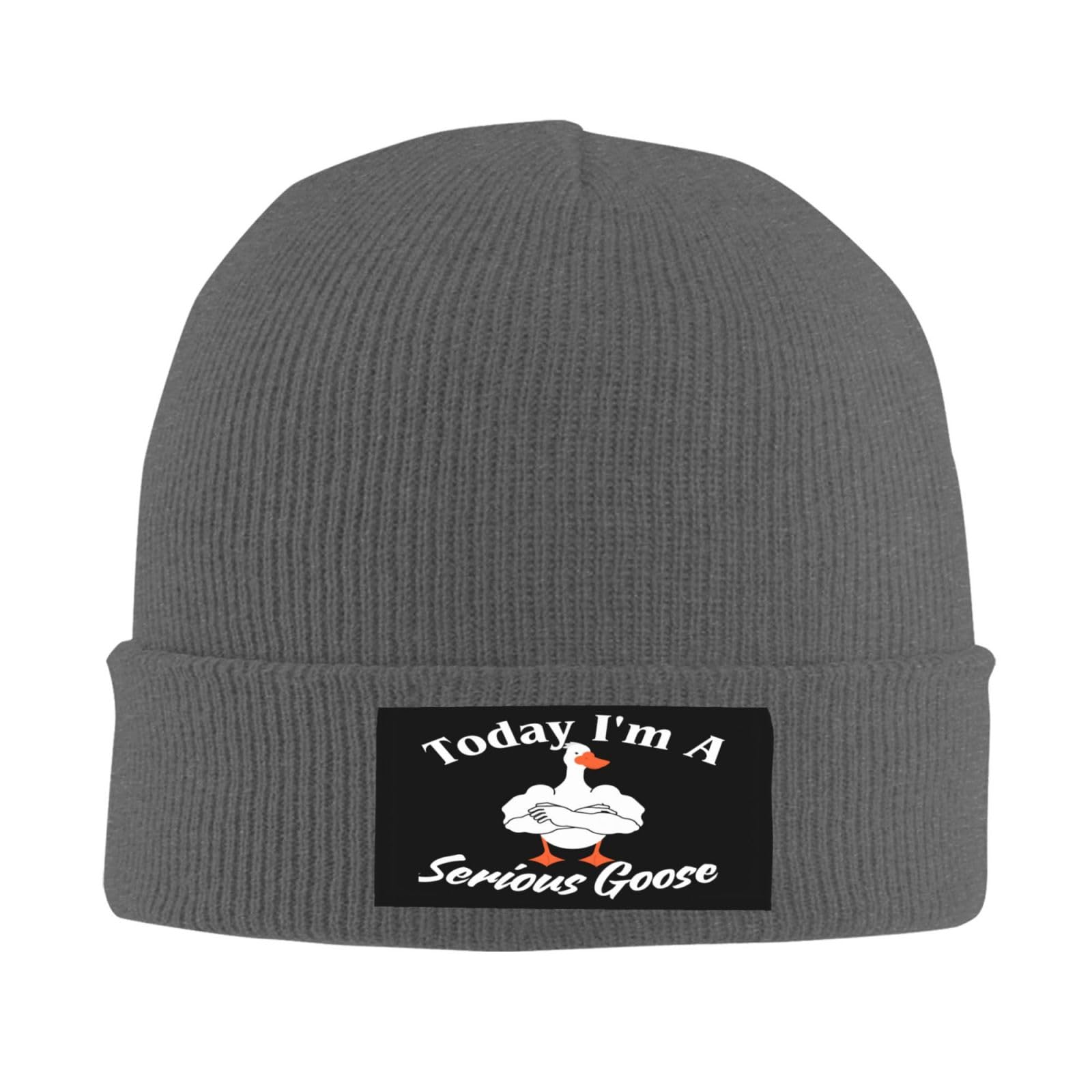 Today I'm A Serious Goose Funny Beanie Cap Knit hat Deep Grey