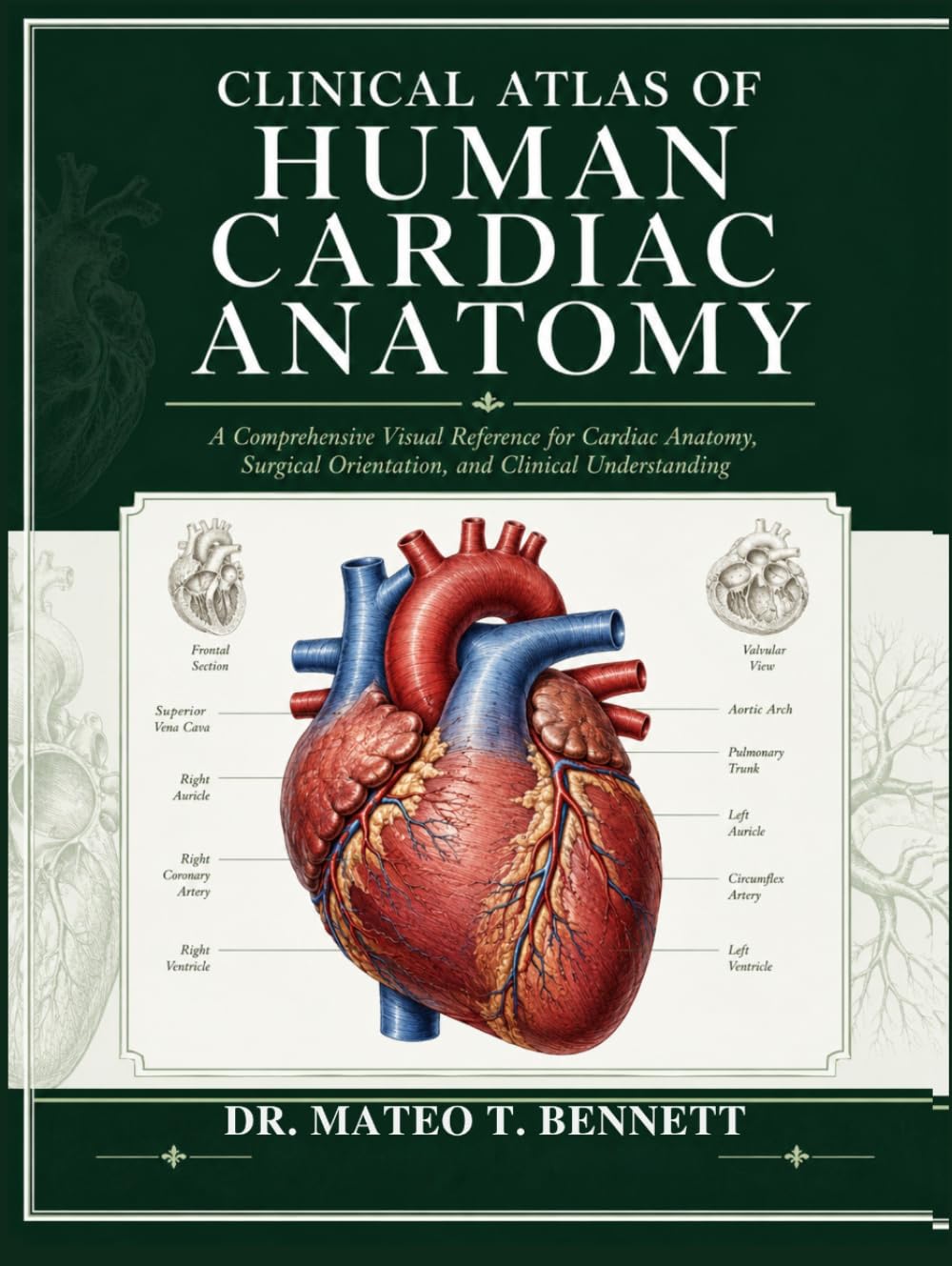 CLINICAL ATLAS OF HUMAN CARDIAC ANATOMY: A Comprehensive Visual Reference for Cardiac Anatomy, Surgical Orientation, and Clinical Understanding