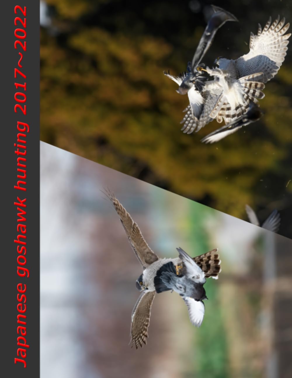Japanese goshawk hunting 2017～2022