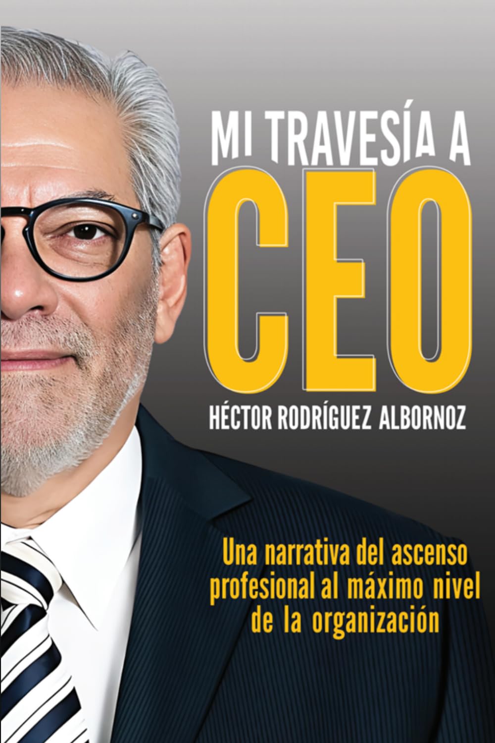 Mi Travesía a CEO