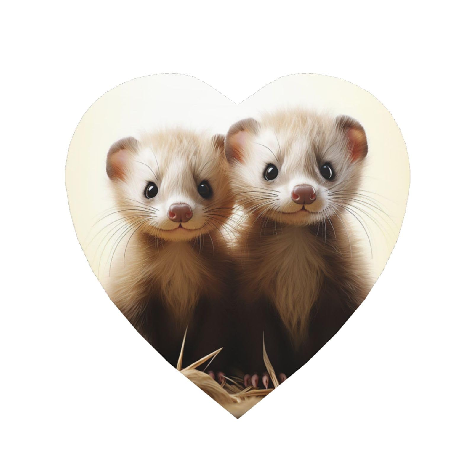 Fridge Magnets Waterproof Personalized Magnets for Fridge Ferrets Refrigerator Magnets Home Decoration Magnetic Sticker for Locker Accessories Whiteboard Kitchen Office Decor