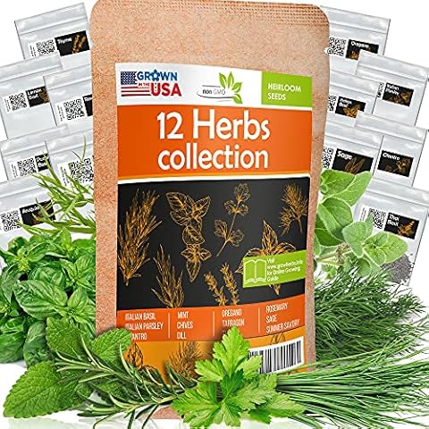 12 Culinary Herb Seeds Pack - Heirloom and Non GMO Cover