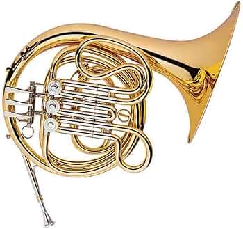 61mZ1zT-2QL._AC_UF350,