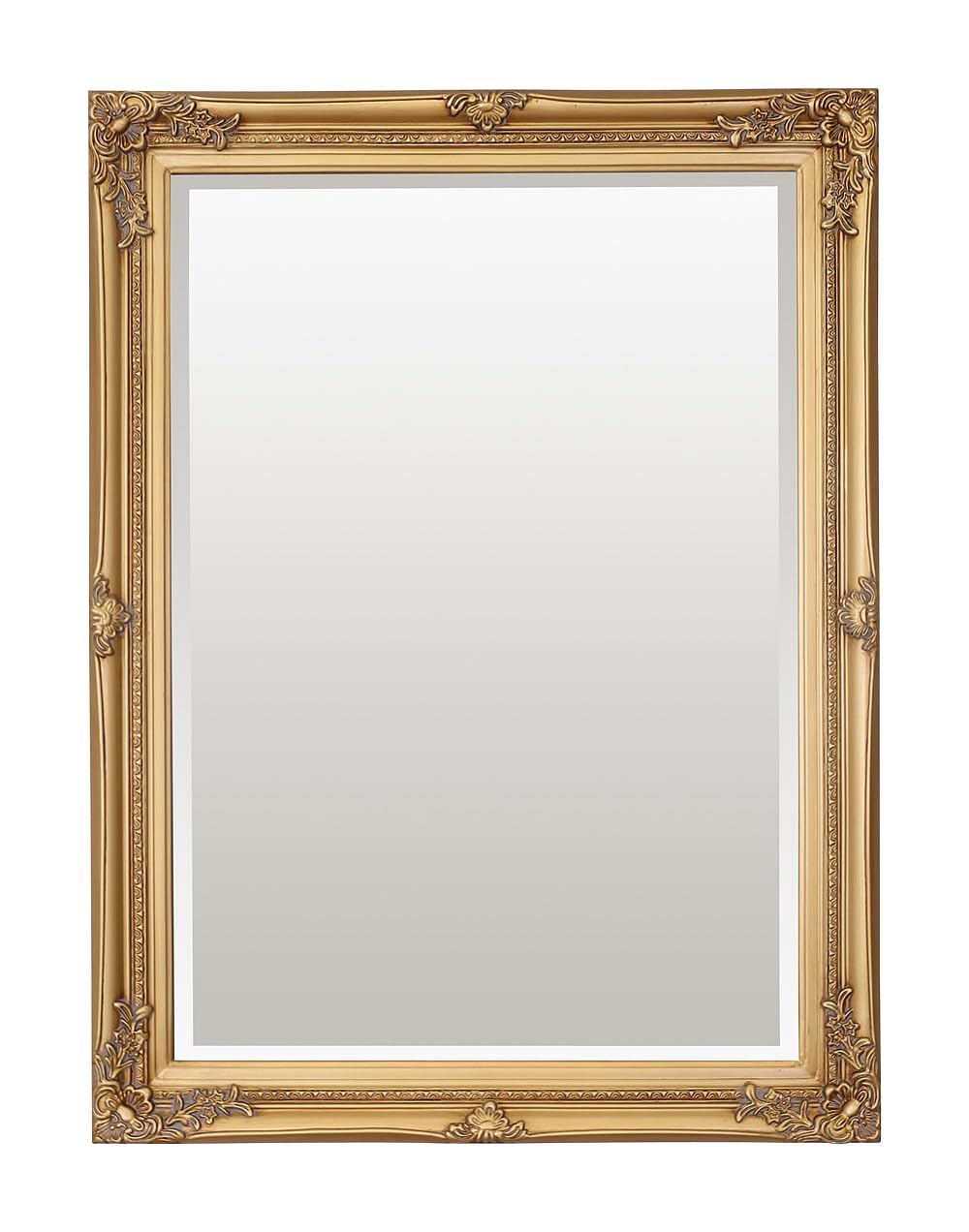 Select Mirrors Rennes - Espejo de pared vintage, estilo barroco, antiguo, diseño francés, marco de madera maciza (oro antiguo, 60 x 80 cm)
