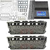 New Improved O'Ringed 6.0L Loaded Cylinder Head Pair [20mm] with OEM Head Gaskets, Mahle Full Gasket Set and ARP Studs - Fits Ford 6.0 Powerstroke Diesel 06-10 No Core (20MM)