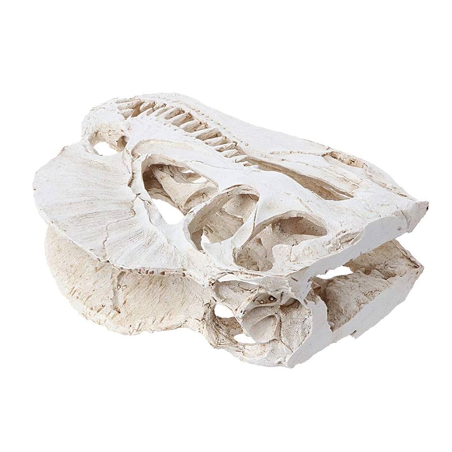 Amazon.co.jp: TAIYANBESTディロフォサウルス恐竜スカルレジン