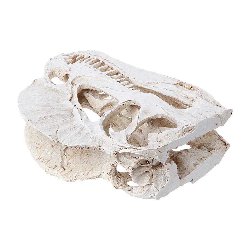 Amazon.co.jp: TAIYANBESTディロフォサウルス恐竜スカルレジンクラフト