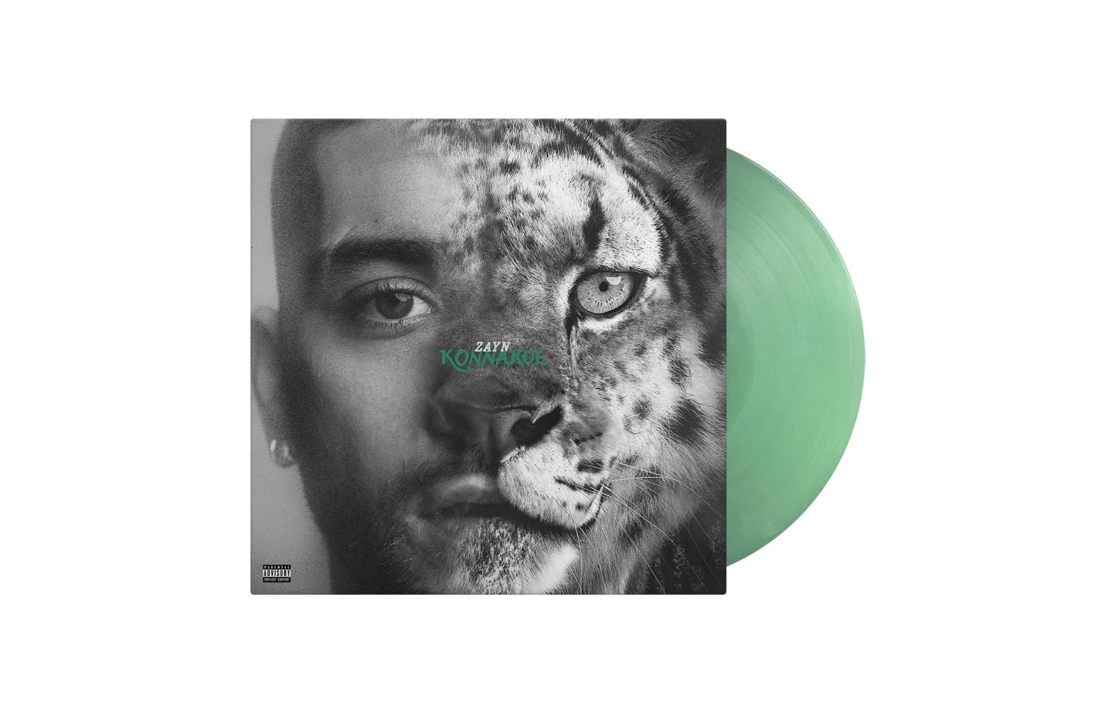 Zayn | Konnakol | Vinyl LP - Swimming Through The Seas
