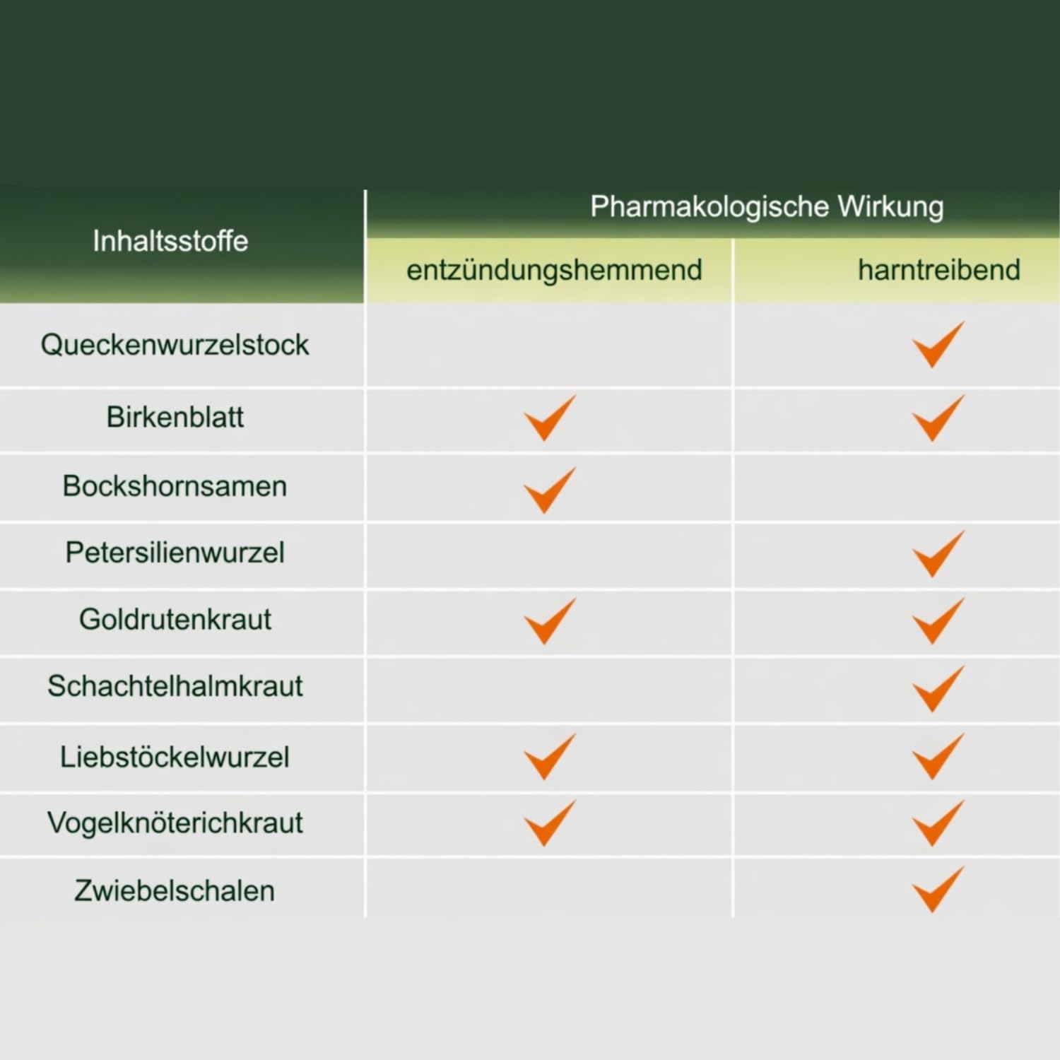 Fitolizyna 200 g – Traditionelle pflanzliche Kräutermischung zur Zubereitung einer Suspension – Botanische Formel nach europäischer Kräutertradition – 2 Stück
