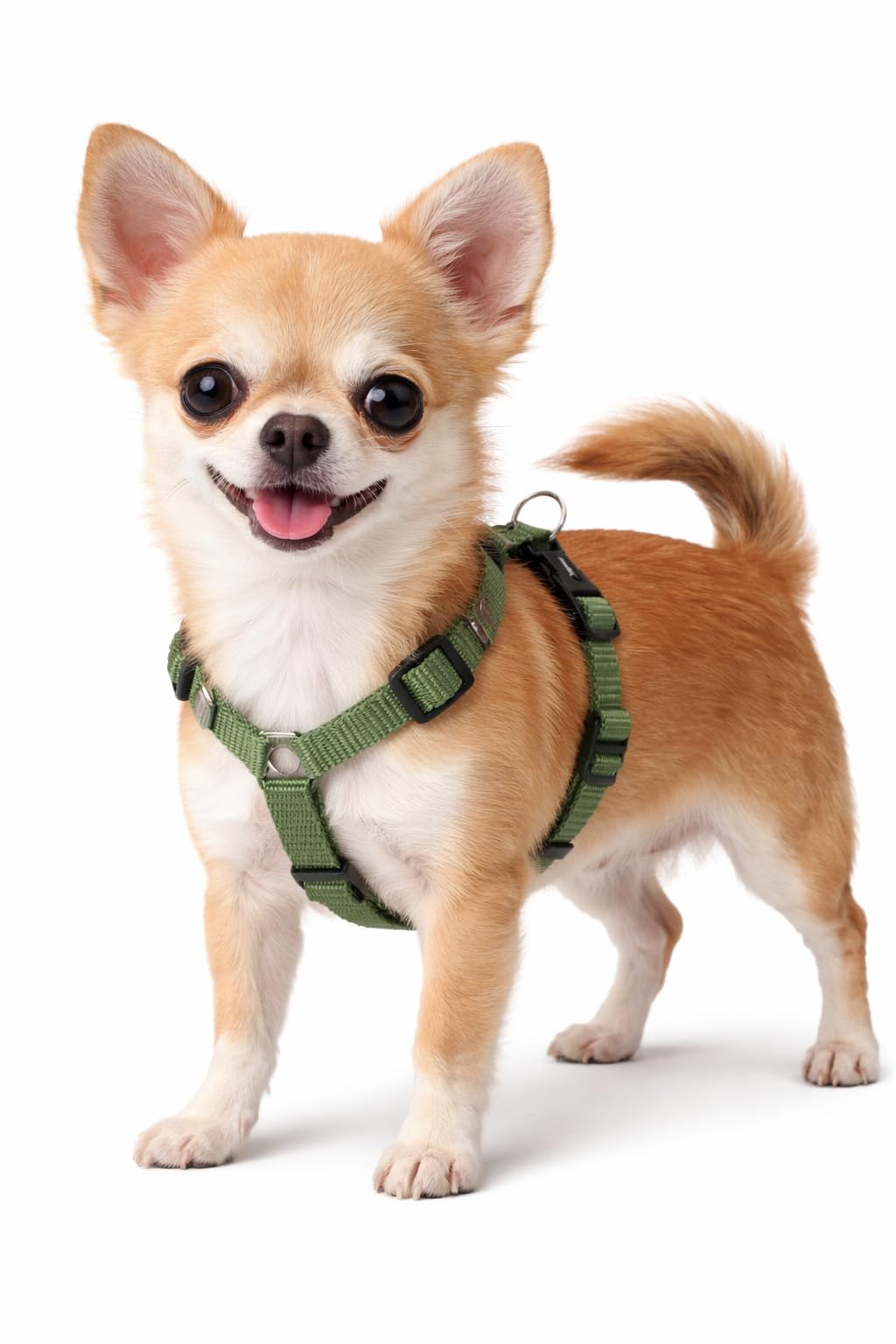 Dog Harness H-shape Ziggi Khaki XS 25-40cm 30-45cm 10mm