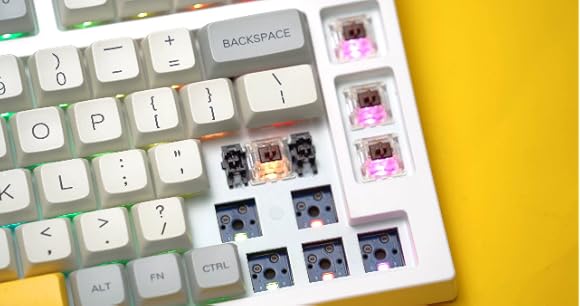 Amazon.com: EPOMAKER EP84 Upgraded 75% RGB Hot Swappable 2.4 ...