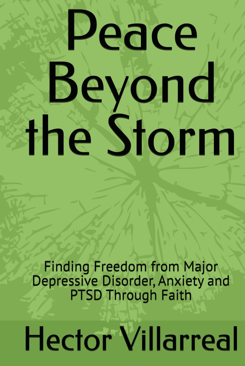 Peace Beyond the Storm: Finding Freedom from Major Depressive Disorder, Anxiety and PTSD Through Faith