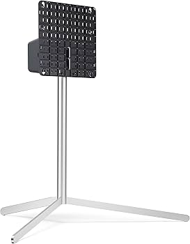 Amazon.com: LG OLED Freestanding Gallery TV Stand - FS21GB