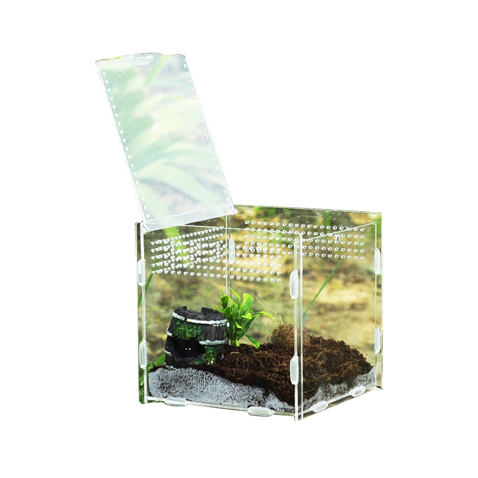 Reptilien-Terrarium, 360 Grad transparente Acryl-Reptilien-Terrarium-Futterbox for Reptilien