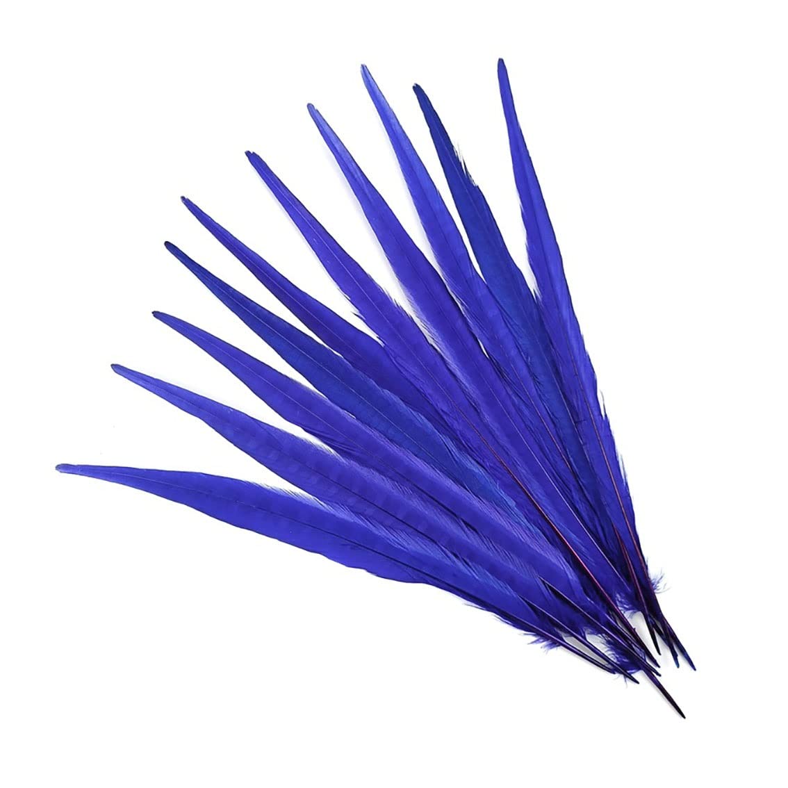 Plumas de faisán azul rey de 40-45 cm para tocados y manualidades