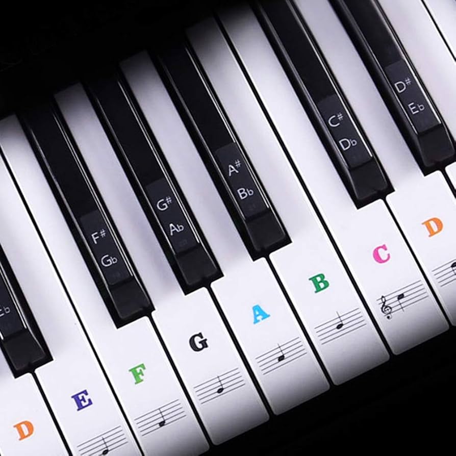 Amazon.com: Piano Keyboard Stickers for 88/61/54/49/37 Key ...