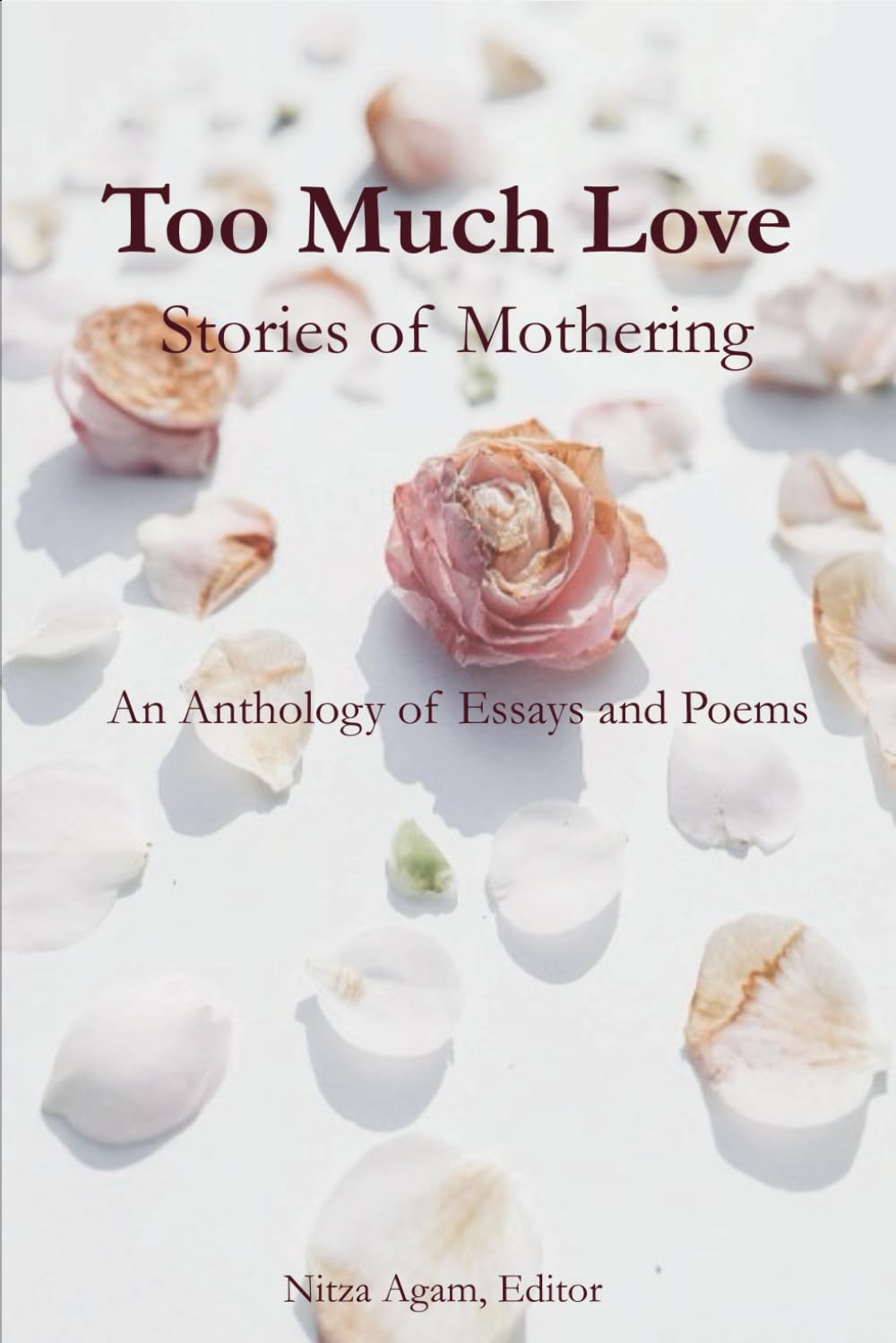 Too Much Love: Stories of Mothering