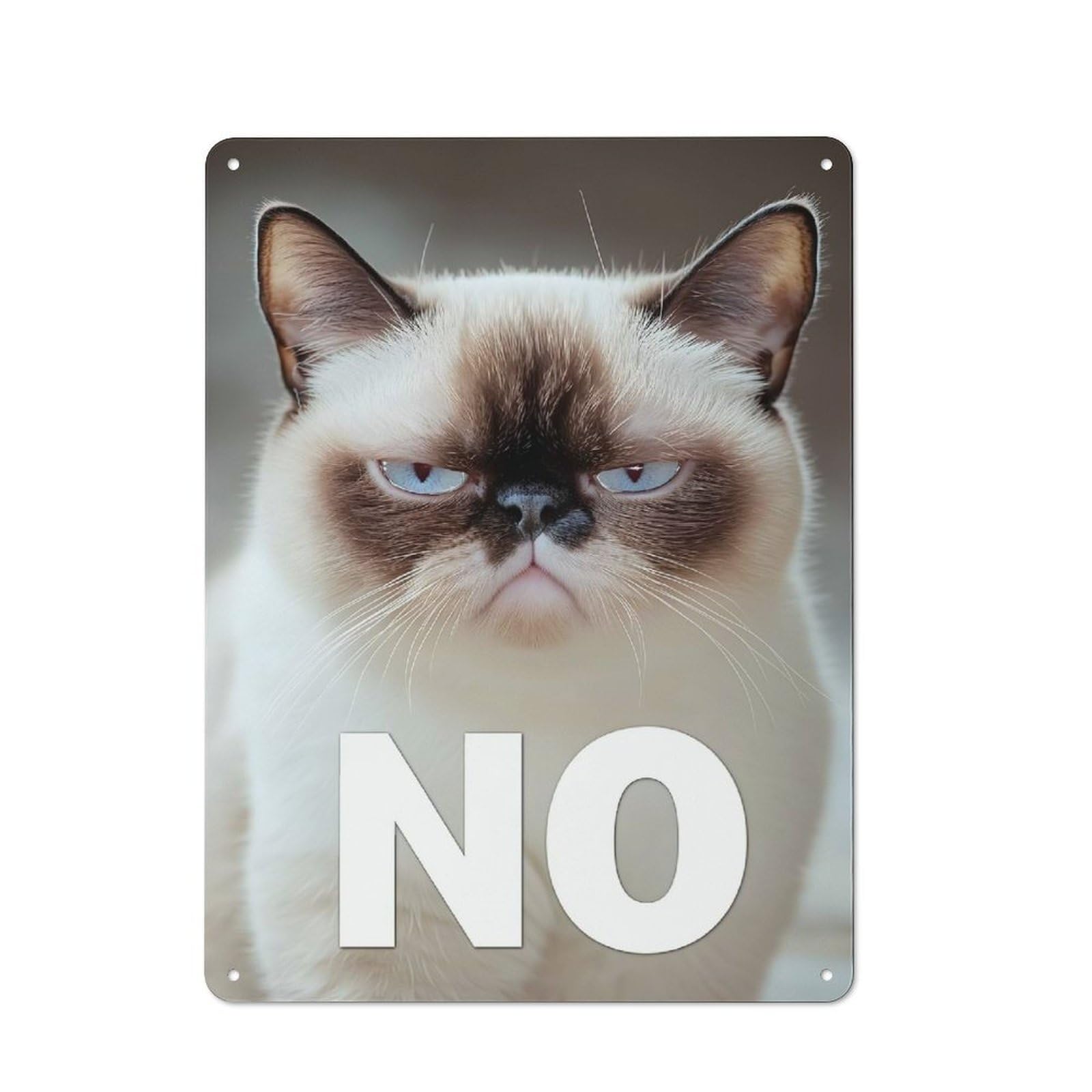 Junmoney Grumpy Cat Says No Metal Wall Sign 40X30cm, Rustic Decor For Garage Wall, For People Furnishing A Garage