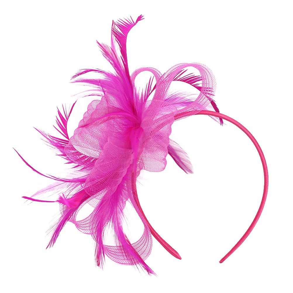 Abaodam Veil Fascinator Hair Clip and Headband Set for Women Formal Weddings Tea Parties Mesh Design with Artificial Plume Elegant Hair Accessories